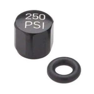 Сервісні запчастини BULK AIR VALVE CAP REVERBSTLTH QTY10 (11.6818.035.014)