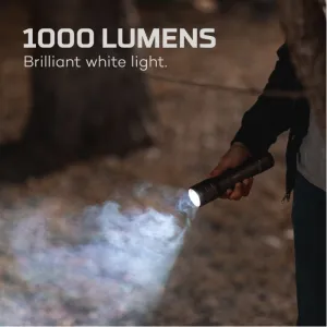 Ліхтар Nebo Newton 1000