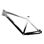 MTB