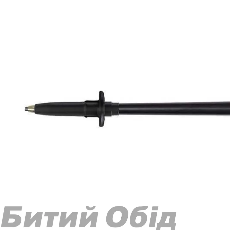 Палиці трекінгові Masters EIGER