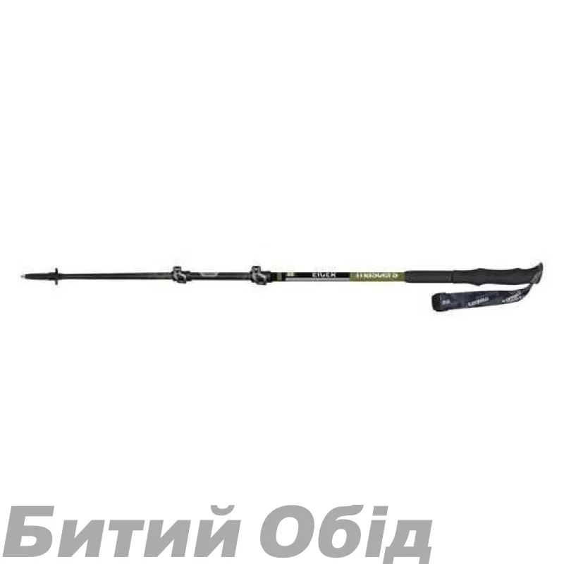 Палиці трекінгові Masters EIGER