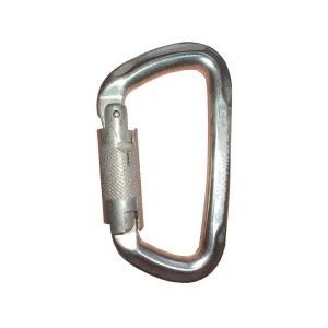 Карабин Climbing Technology D-Shape WG silver