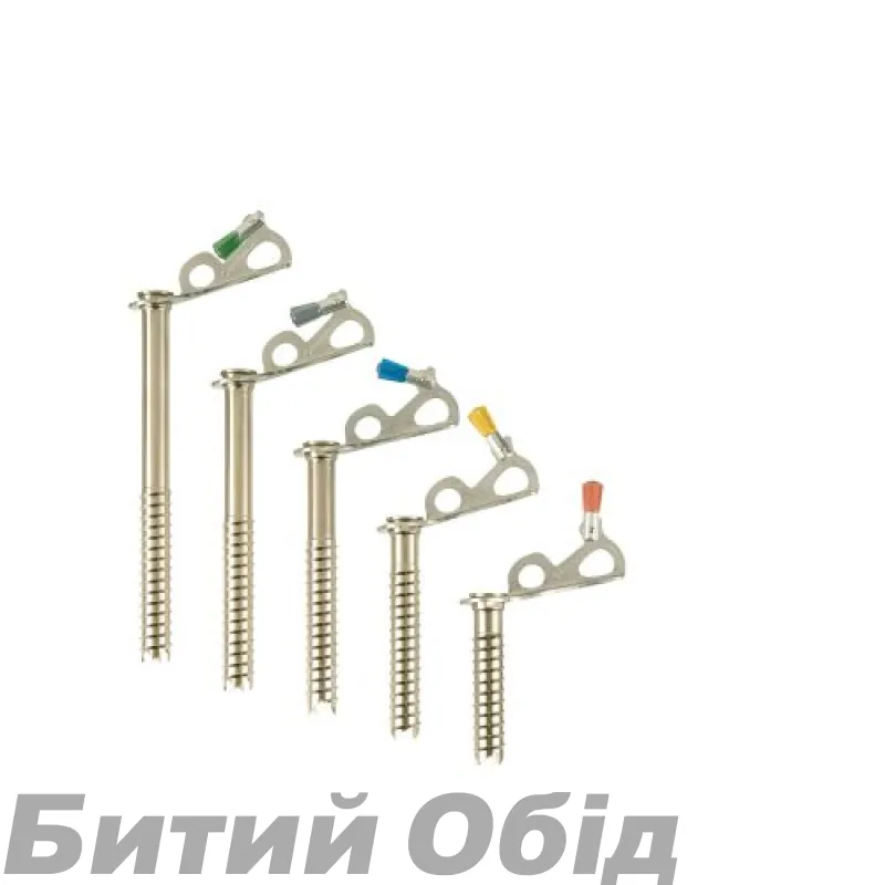Льодобур Black Diamond Express Ice Screws
