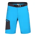 Шорты Directalpine CRUISE SHORT 2.0  Шорты Directalpine CRUISE SHORT 2.0