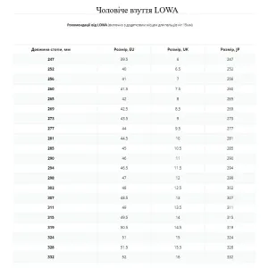 Черевики LOWA Renegade Evo Ice GTX black 