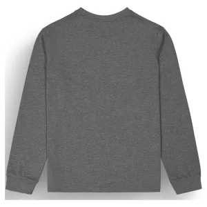Реглан Picture Organic Sican LS dark grey melange 