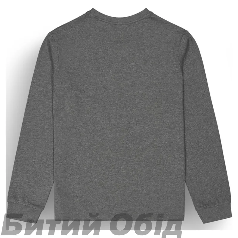 Реглан Picture Organic Sican LS dark grey melange 