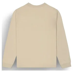 Реглан Picture Organic Sican LS plaza taupe 