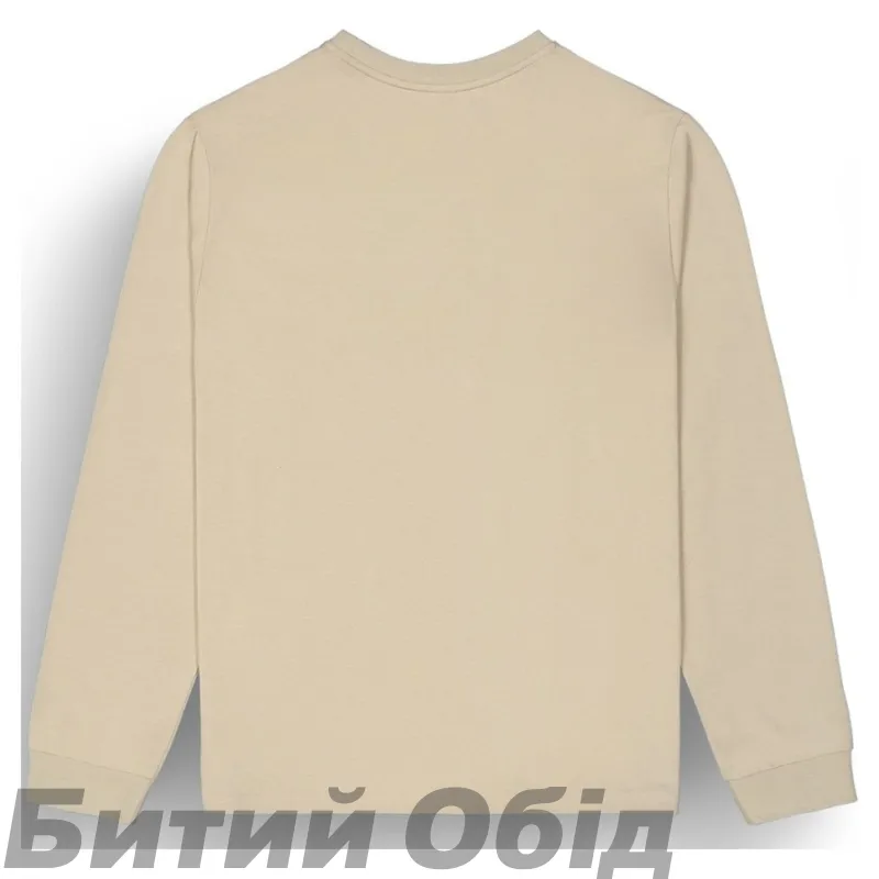 Реглан Picture Organic Sican LS plaza taupe