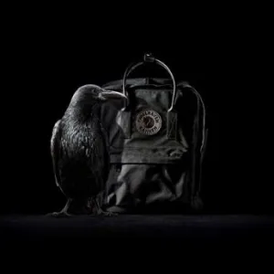 Рюкзак FJALLRAVEN Kanken No.2 Black