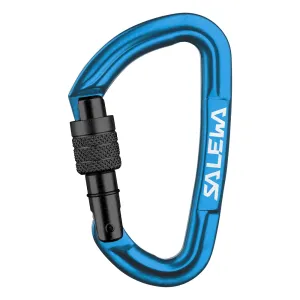Карабін Salewa Hot G3 Screw 5810 (зелений) Карабін Salewa Hot G3 Screw 5810 (зелений)