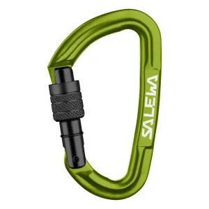 Карабін Salewa Hot G3 Screw 5810 (зелений)