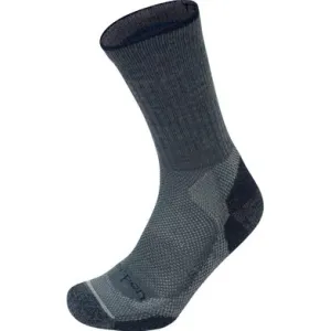 Шкарпетки Lorpen T2 Merino Hiker 2 Pack T2W (6610007) 