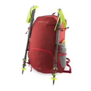 Рюкзак Pinguin Air 33 2020