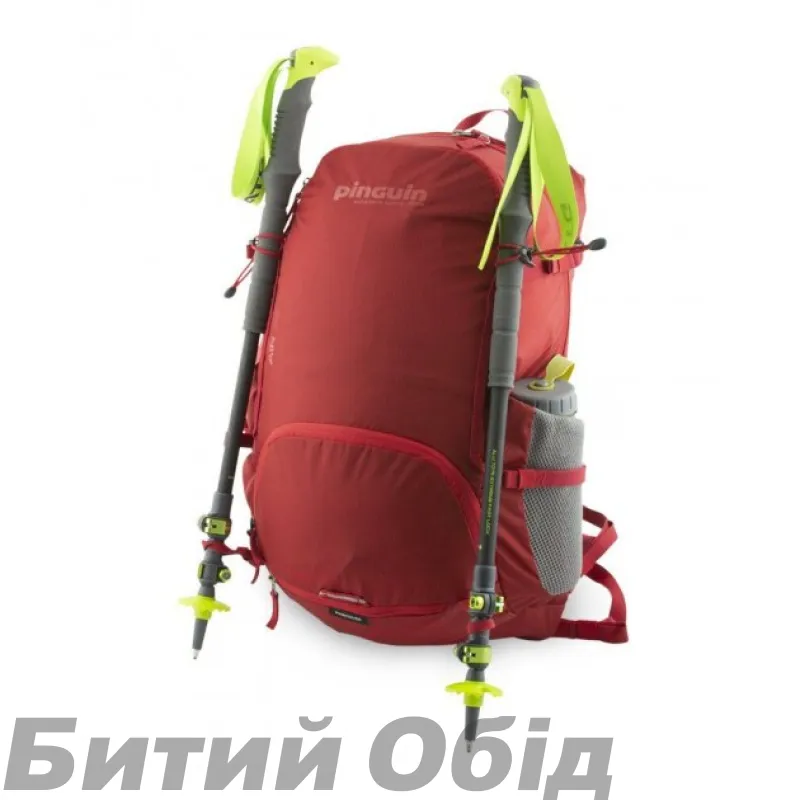 Рюкзак Pinguin Air 33 2020 