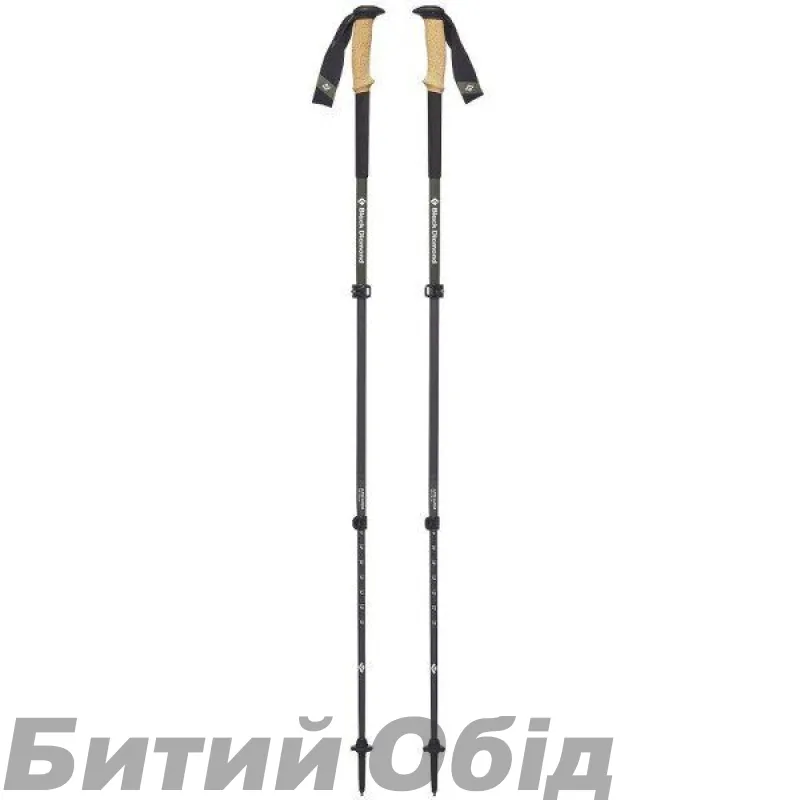 Трекінгові ціпки Black Diamond Alpine Carbon Cork (No Color, One Size)