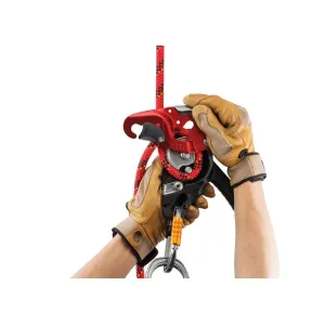 Спусковий пристрій Petzl I'D S 