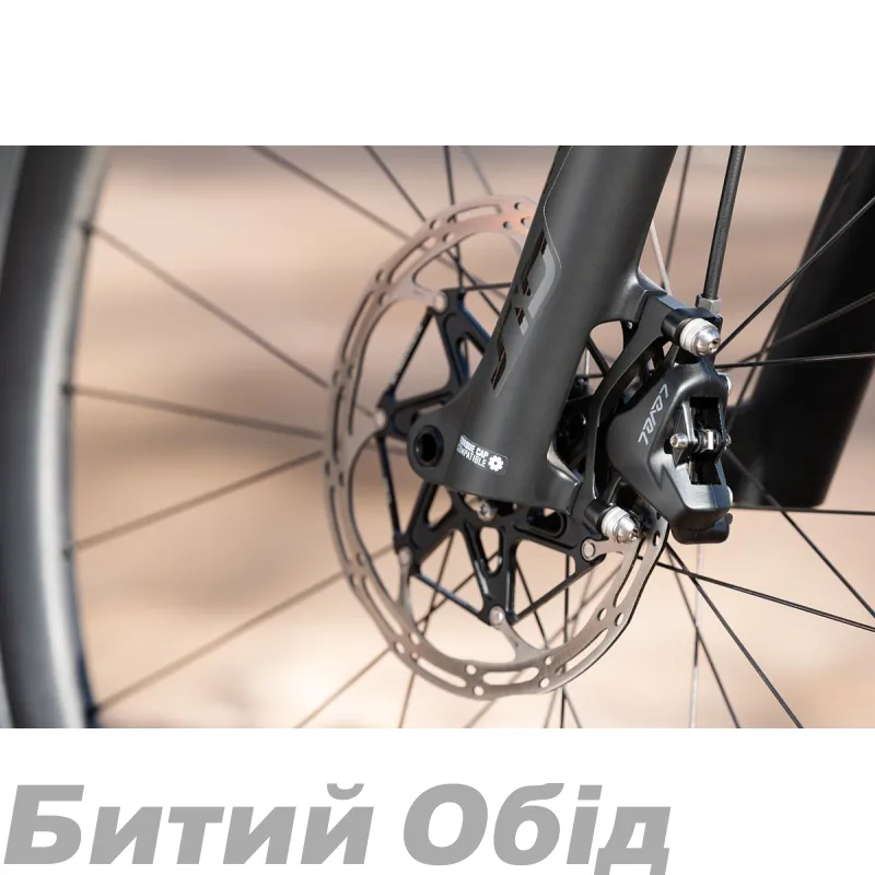 Гальма дискові SRAM AM DB LVL TLM DGY FRT DIR 950 A1