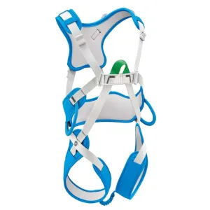 Система Petzl OUISTITI