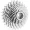Барабан Campagnolo