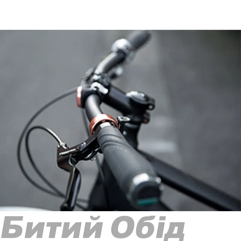 Встановлення/заміна грипс