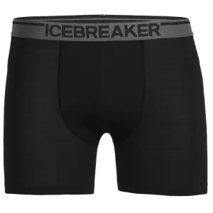 Трусы ICEBREAKER Anatomica Long Boxers MEN BLACK