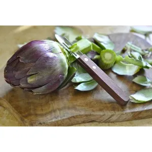 Овочечистка Victorinox (5.0209) Овочечистка Victorinox (5.0209)