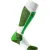 Носки Icebreaker Ski + Lite OTC WMN cruise/white/turf M