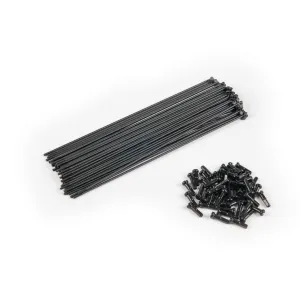 Спицы Eclat STAINLESS нержавейка PG с черными ниппелями, черные