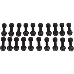 Піни для педалі RaceFace PEDAL PIN KIT.CHESTER.PIN&NUT.20 SETS