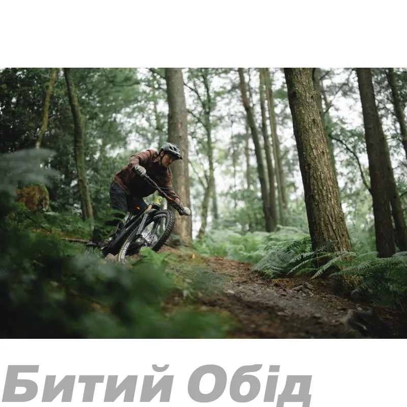 Сорочка TLD GRIND FLANNEL STRIPE [RUSSET]