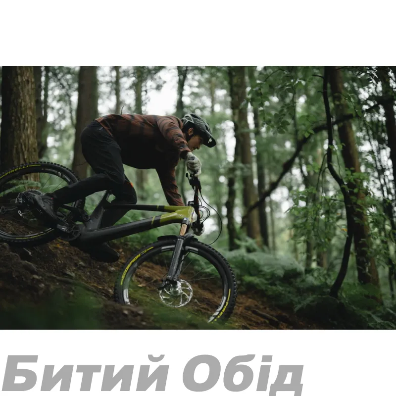 Сорочка TLD GRIND FLANNEL STRIPE [RUSSET]