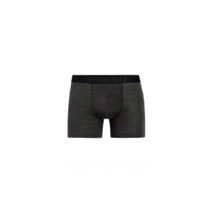 Трусы ICEBREAKER Anatomica Cool-Lite Trunks MEN MONSOON HTHR 