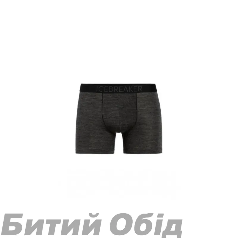 Труси ICEBREAKER Anatomica Cool-Lite Trunks MEN MONSOON HTHR 