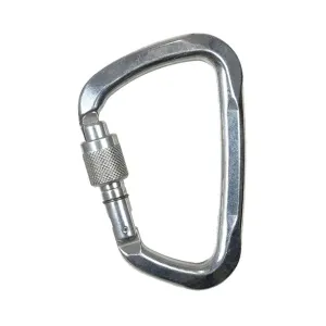 Карабін Climbing Technology LARGE Wide Base SG (silver)