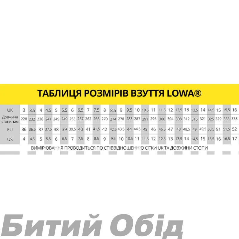 Кросівки LOWA Amplux black-lime