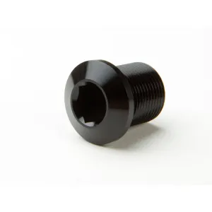 Болт шатунів RaceFace BOLT.CRANK.EXI.AL.M15
