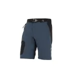 Шорты Directalpine CRUISE SHORT 1.0  Шорты Directalpine CRUISE SHORT 1.0