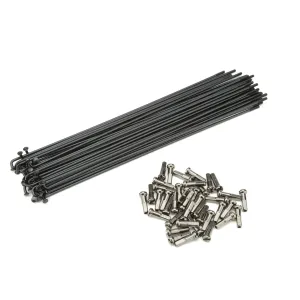 Спиці Cinema Stainless з ніпелем чорні