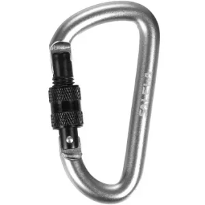 Брелок Salewa D-SHAPE CARBINER WITH SCREW 34102 0999 - UNI