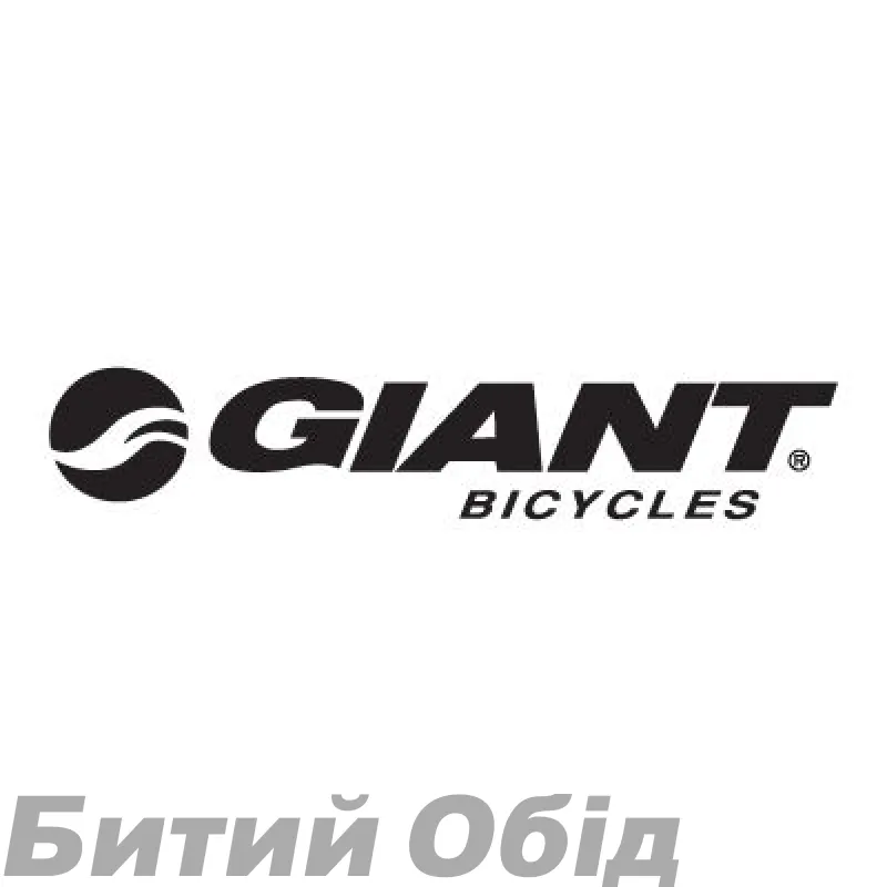 Веломайка Kalas Giant Kids Active 01 чорн