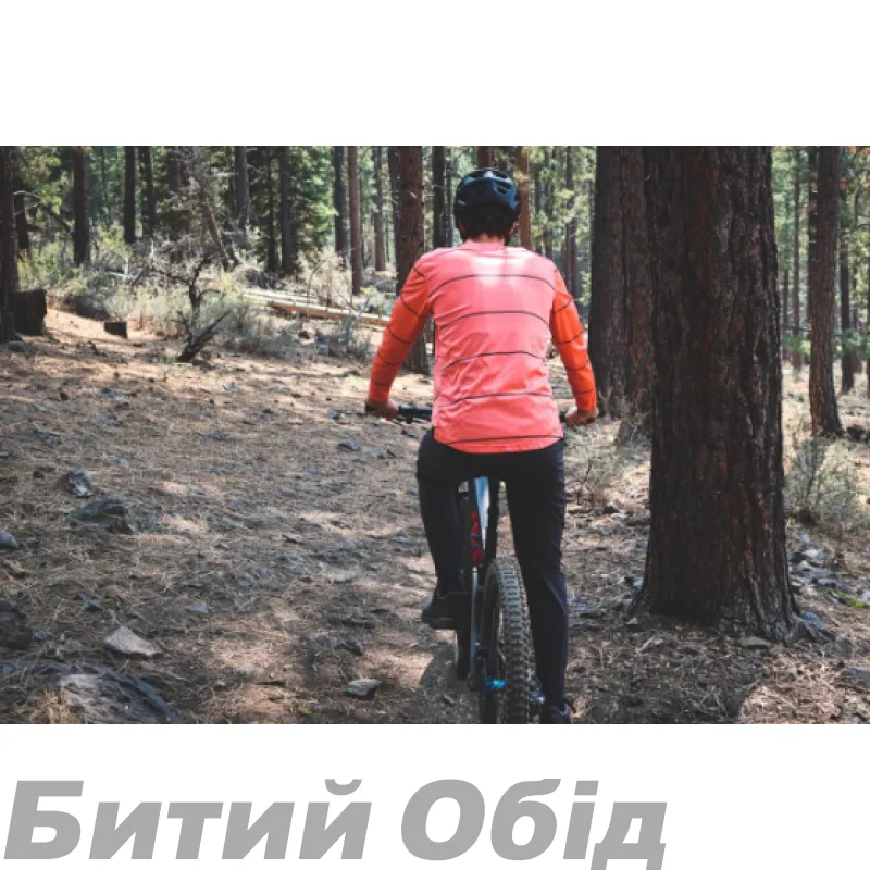 Джерси TLD FLOWLINE LS JERSEY Revert [Wine] 