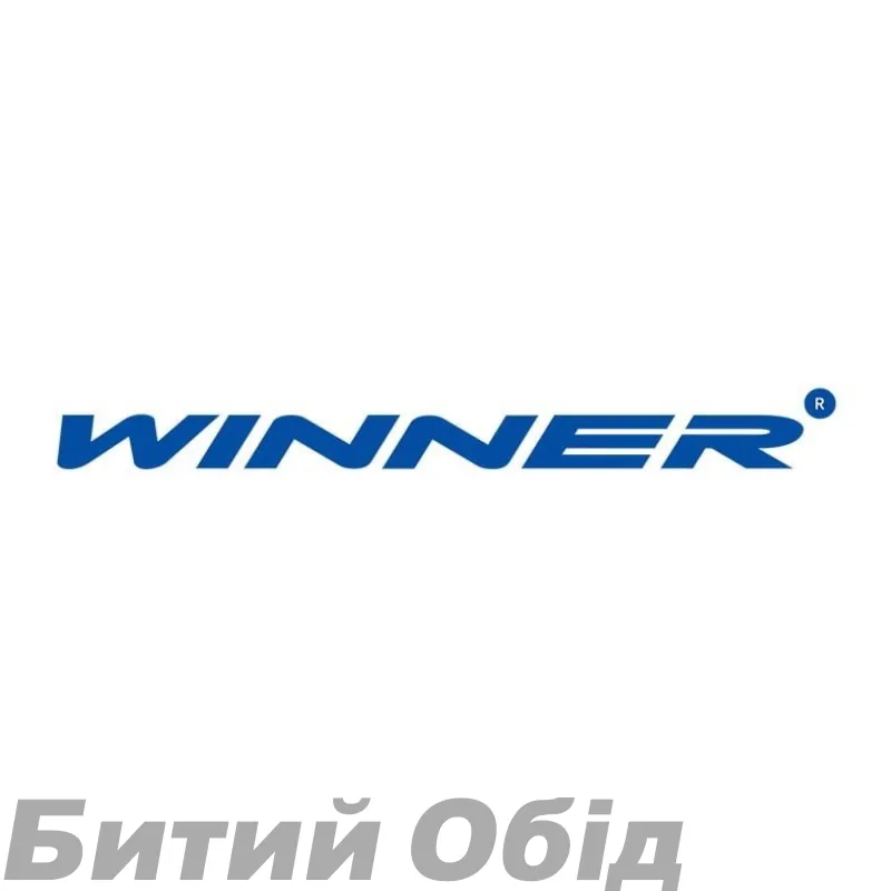 Крюк на раму Winner Solid GT