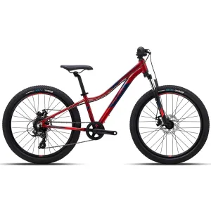 Велосипед POLYGON RELIC 24X13 (BA)