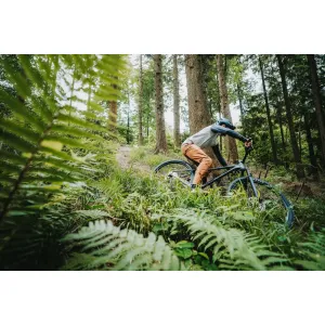 Велосипед MERIDA BIG.TRAIL 300 II1, BLACK(BROWN)