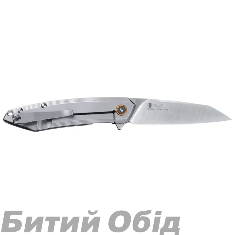 Ніж складаний Ruike P831S-SA