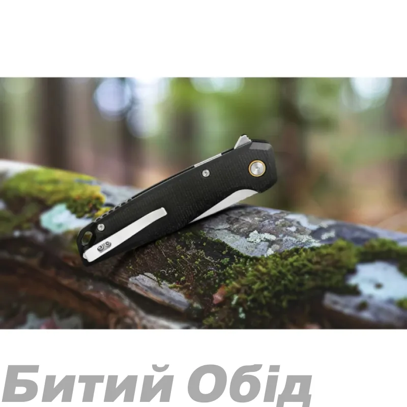 Ніж складаний Ruike P873-MB