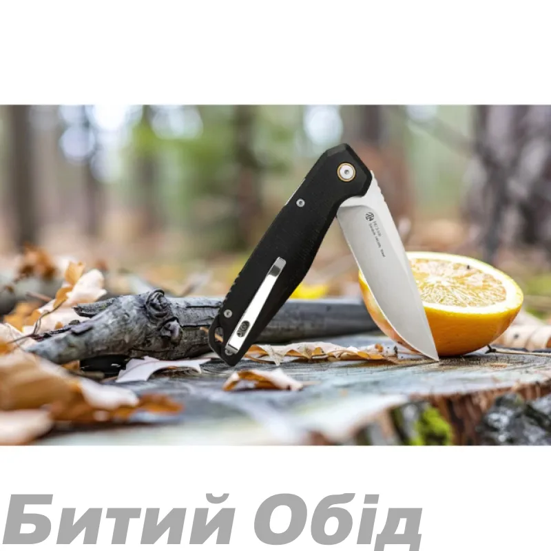 Ніж складаний Ruike P873-MB