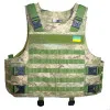 Плитоноски