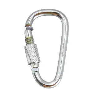 Набір алюмінієвих карабінів сувенірних Tramp 10 шт 5 см з муфтою silver UTRA-299